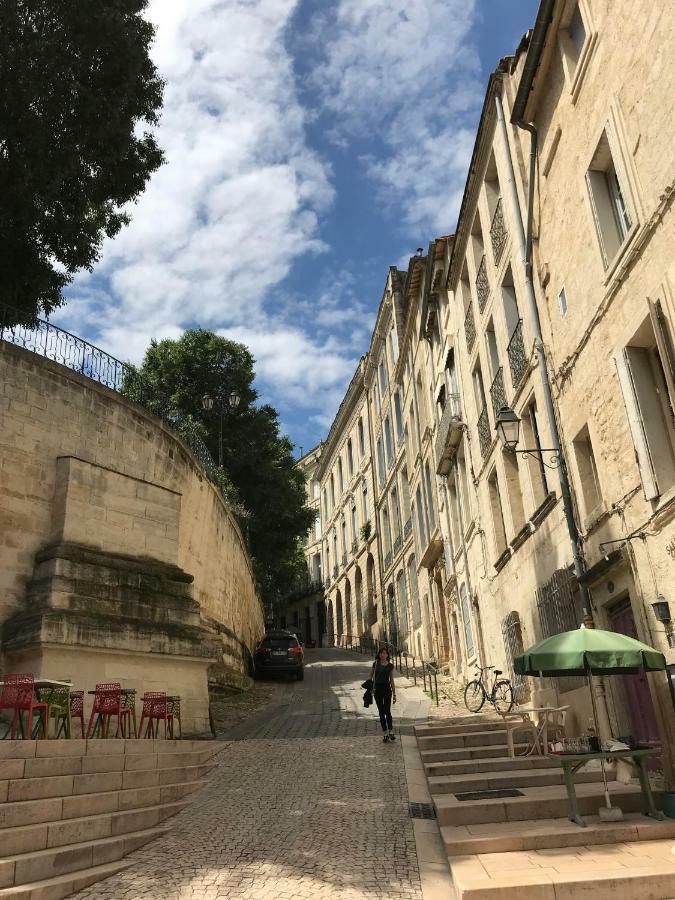 Superbe ! Appart T2 - Centre Historique & Tram - Situation Ideale Apartment Montpellier Luaran gambar