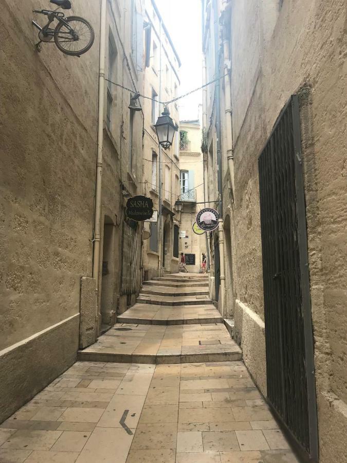 Superbe ! Appart T2 - Centre Historique & Tram - Situation Ideale Apartment Montpellier Luaran gambar