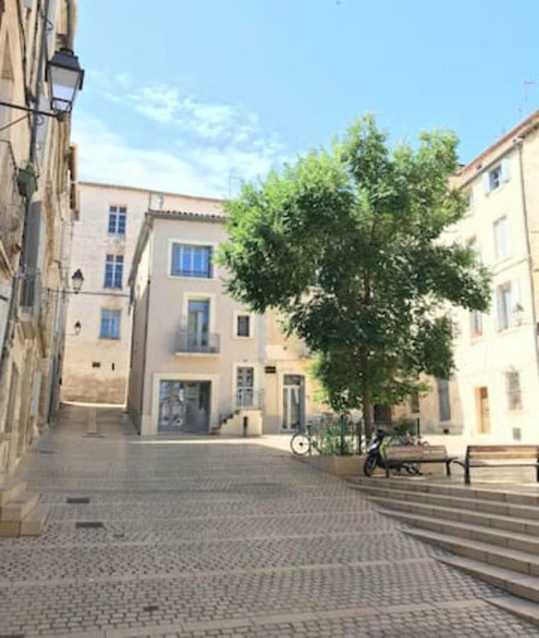 Superbe ! Appart T2 - Centre Historique & Tram - Situation Ideale Apartment Montpellier Luaran gambar